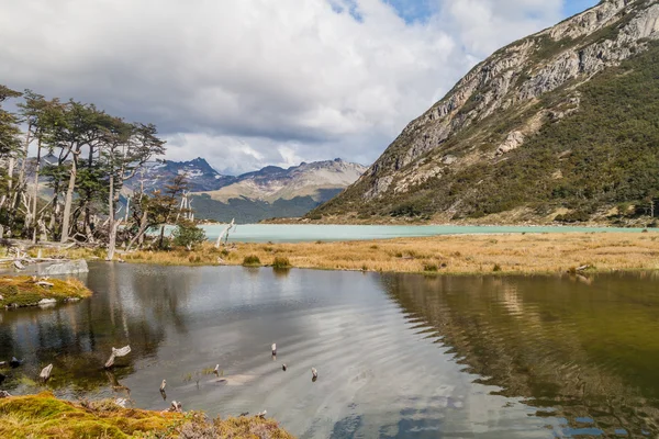 Jezior Tierra Del Fuego Argentyna — Zdjęcie stockowe