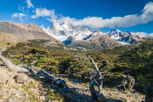 Fitz Roy Dağı Milli Parkı Los Glaciares, Argetina görünümü