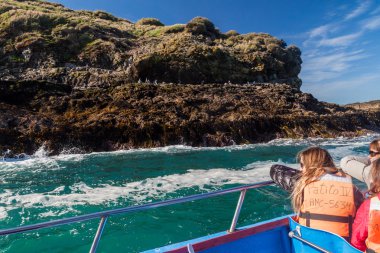 Chiloe Adası, Şili - 20 Mart 2015: Turist üzerinde bir tekne izle penguenler korumalı alanda Monumento Nacional Islotes de Punihuil Chiloe Adası, Şili