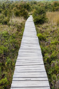 Boardwalk Chiloe Milli Parkı, Şili