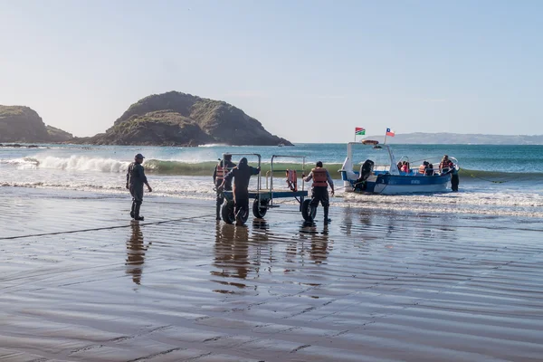 Chiloe Island Chile März 2015 Tourist Auf Einem Boot Einem — Stockfoto