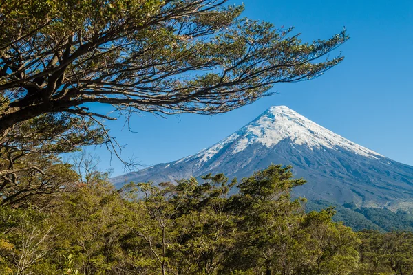 Ηφαίστειο Osorno Στο Εθνικό Πάρκο Vicente Perez Rosales Χιλή — Φωτογραφία Αρχείου