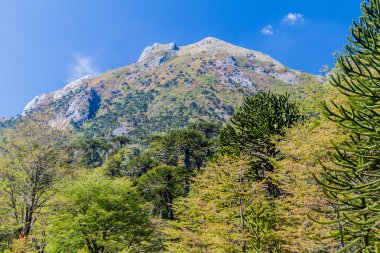 Milli park Huerquehue, Şili kırsal