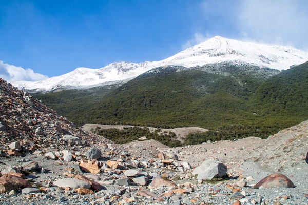 Природа Национальном Парке Los Glaciares Патагония Аргентина — стоковое фото