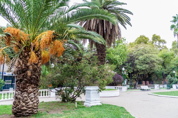 Mendoza Argentína Tér Park — Stock Fotó