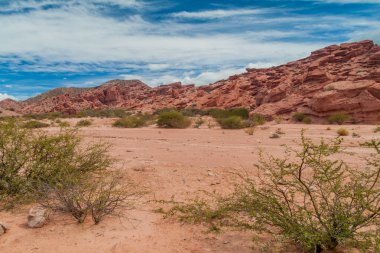 Kaya oluşumları Quebrada de Cafayate Valley, Arjantin