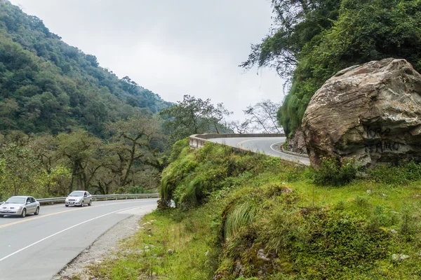 ミゲル トゥクマンからタフィ バジェ アルゼンチンへの道に沿って緑豊かな林に覆われた山々 — ストック写真