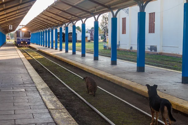 Salta Argentina Abril 2015 Trem Para General Guemes Chega Estação — Fotografia de Stock