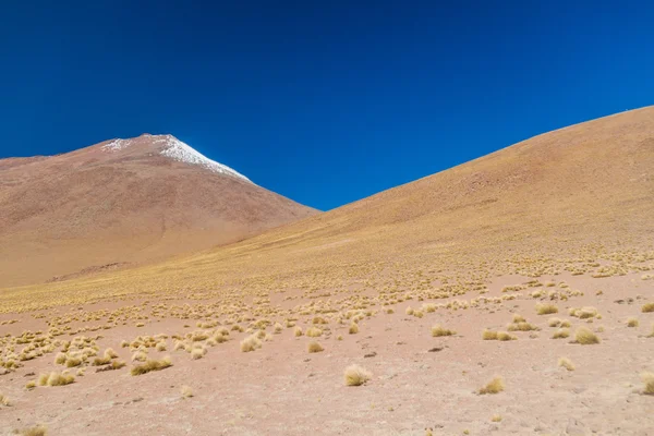 Paisaje Desnudo Del Altiplano Boliviano — Foto de Stock