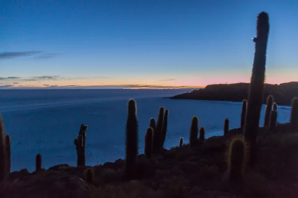 Frühmorgens Auf Der Isla Incahuasi Isla Del Pescado Salar Uyuni — Stockfoto