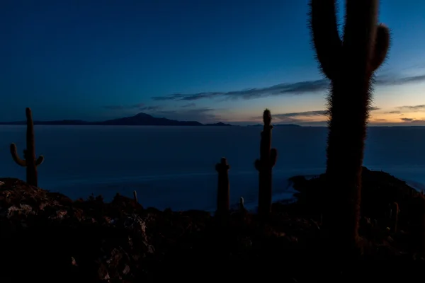 Frühmorgens Auf Der Isla Incahuasi Isla Del Pescado Inmitten Der — Stockfoto