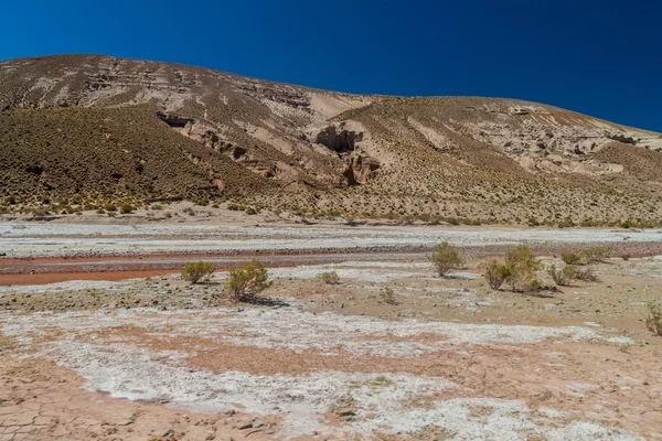 Landscape Bolivian Altiplano — Stock Photo, Image