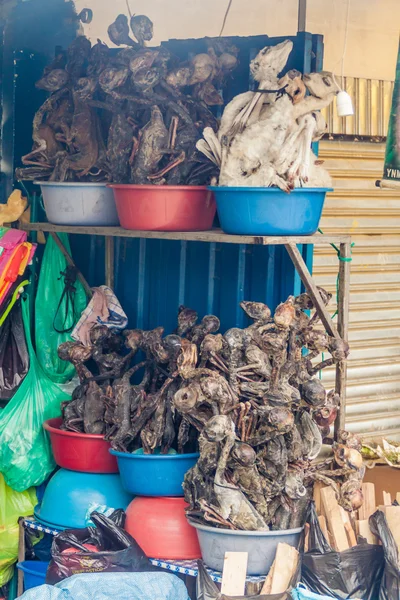 Lama Foetussen Bij Een Lokale Heks Markt Alto Bolivia — Stockfoto