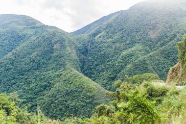 Coroico Vadisi nehir Yungas Dağları, Bolivya