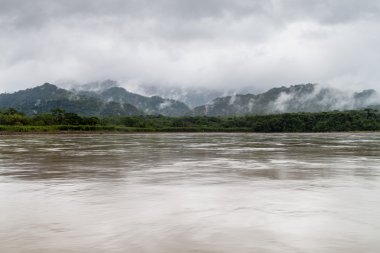 Beni river in National Park Madidi, Bolivia clipart