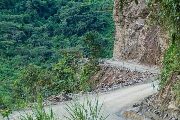 Strada Pericolosa Stretta Una Valle Del Fiume Coroico Nelle Montagne — Foto Stock