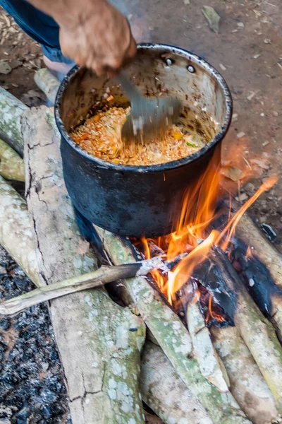 Cooking Fire Jungle Madidi National Park Bolivia — Stock Photo, Image