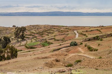 Titicaca gölü, Peru Amantani adada tarım teraslarının