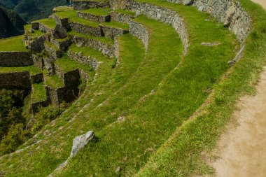 İnka'nın tarım teraslarının, Machu Picchu, Peru