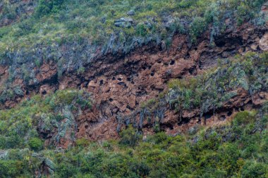 Pisac village, Peru yakınındaki yağmaladılar Inca mezarları