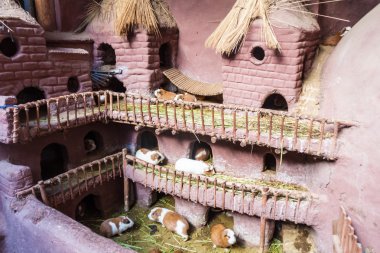 Castillo de Cuyes (Guinea pig house) in Pisac village, Peru clipart
