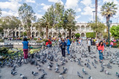 Arequipa, Peru - 26 Mayıs 2015: İnsanlar ve güvercinler Plaza de Armas Meydanı: Arequipa, Peru.