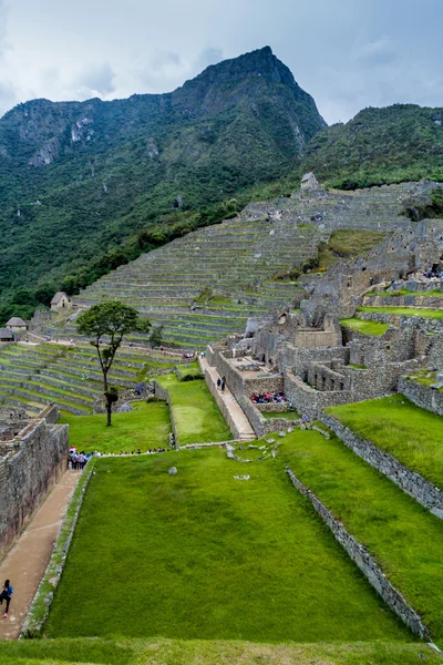 Incas Landwirtschaftliche Terrassen Bei Machu Picchu Peru — Stockfoto