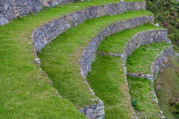 Antiguas Terrazas Agrícolas Las Ruinas Machu Picchu Perú — Foto de Stock