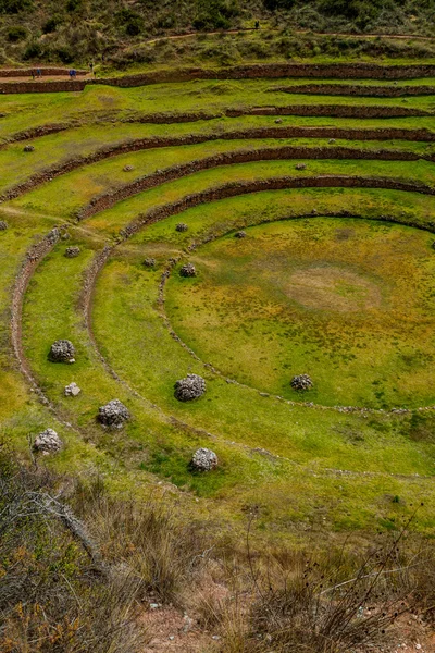 Terraço Agrícola Moray Vale Sagrado Peru — Fotografia de Stock