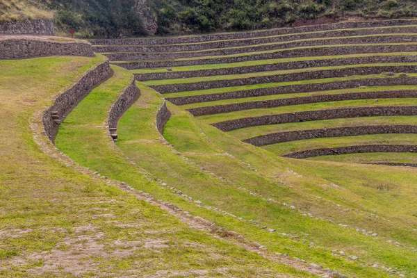 Inca Jordbruks Terrasser Moray Heliga Dal Peru — Stockfoto