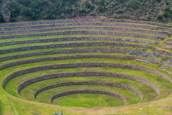 Terrazas Agrícolas Redondas Moray Hechas Por Imperio Inca Perú — Foto de Stock