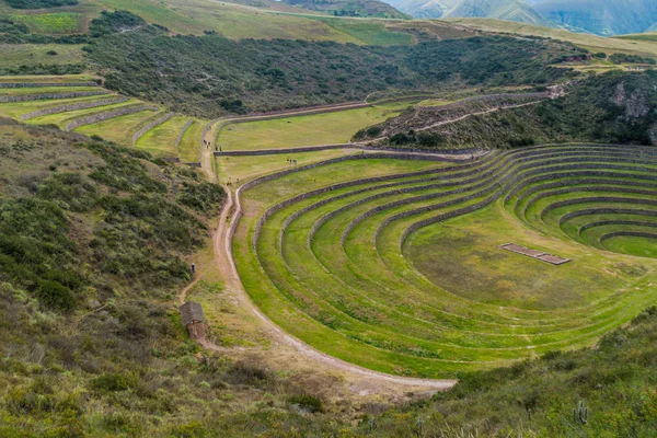 Forduló Mezőgazdasági Teraszok Moray Szent Völgy Peru Inkák — Stock Fotó