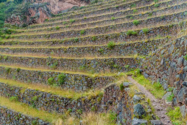 Inca Agricultural Terraces Pisac Peru — Stock Photo, Image