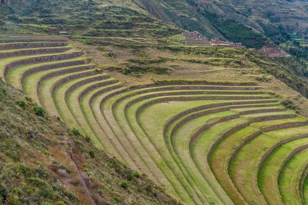 Terrazas Agrícolas Incas Pisac Valle Sagrado Perú — Foto de Stock