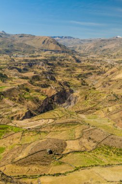 Colca Kanyonu, Peru görünümünü