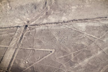 Geoglyphs Nazca - ünlü Nazca çizgileri, Peru yakın hava görünümünü. Ortasında, örümcek figürü mevcuttur.