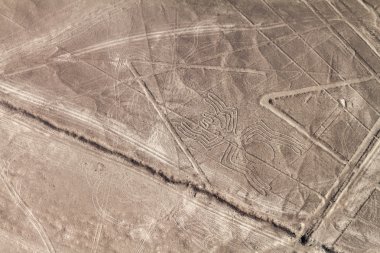Geoglyphs Nazca - ünlü Nazca çizgileri, Peru yakın hava görünümünü. Ortasında, örümcek figürü mevcuttur.