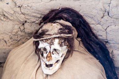 Mumya Chauchilla mezarlığı Nazca, Peru bir mezar içinde korunmuş