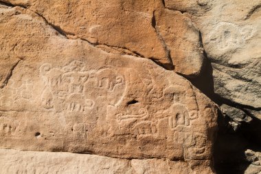 Tarapoto, Peru yakın pitaya petroglifler