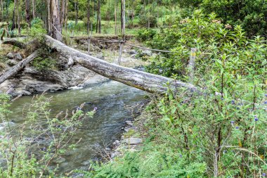 Toachi river canyon Quilotoa krater, Ekvator yakınında Bridge'de günlüğü