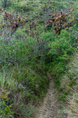 Popüler Quilotoa döngü, Ekvador, trekking izleri