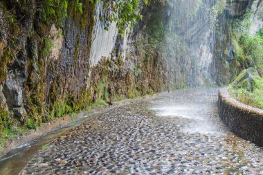 Banos Bisiklet yolundan Puyo, Ecuador