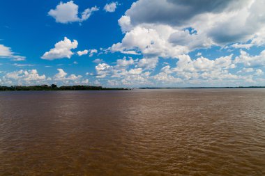 Brezilya'da Amazon nehri boyunca orman