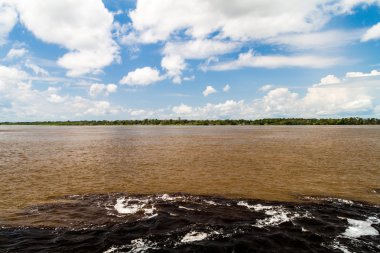 Sular toplantı (Encontro das Aguas) karanlık su ve hafif Amazon Nehri veya Rio Solimoes Rio Negro nehir arasında görkemlidir