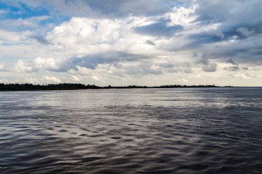 Brezilya'da Amazon Nehri görünümünü