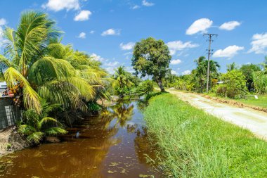 Water canal between former plantations in Suriname clipart