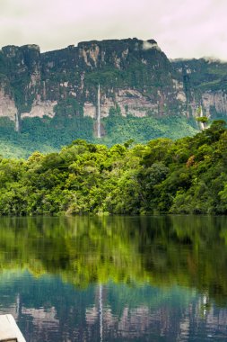 River Carrao and tepui (table mountain) Auyan in National Park Canaima, Venezuela. clipart