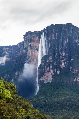 Angel Şelalesi (Salto Angel), dünyanın en yüksek Şelalesi (978 m), Venezuela