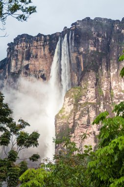 Angel Şelalesi (Salto Angel), dünyanın en yüksek Şelalesi (978 m), Venezuela