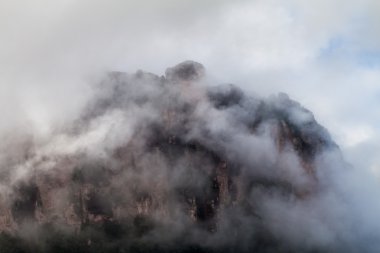 Tepui (Masa Dağı) Auyan: Canaima Ulusal Parkı, Venezuela